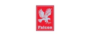 falcon - Partners - Royal Middle East International LLC [ROY.INOX]