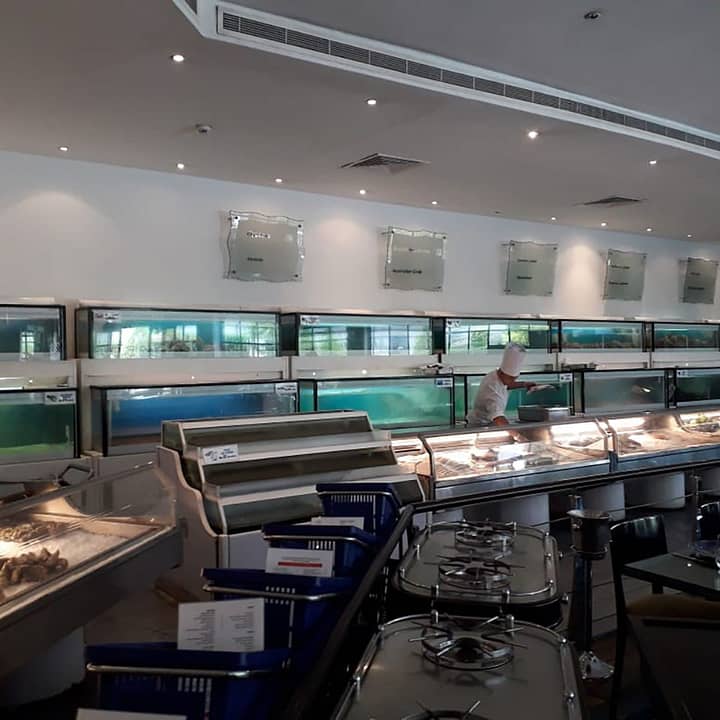 Fish Tank - what we do - Royal Middle East International LLC [ROY.INOX]